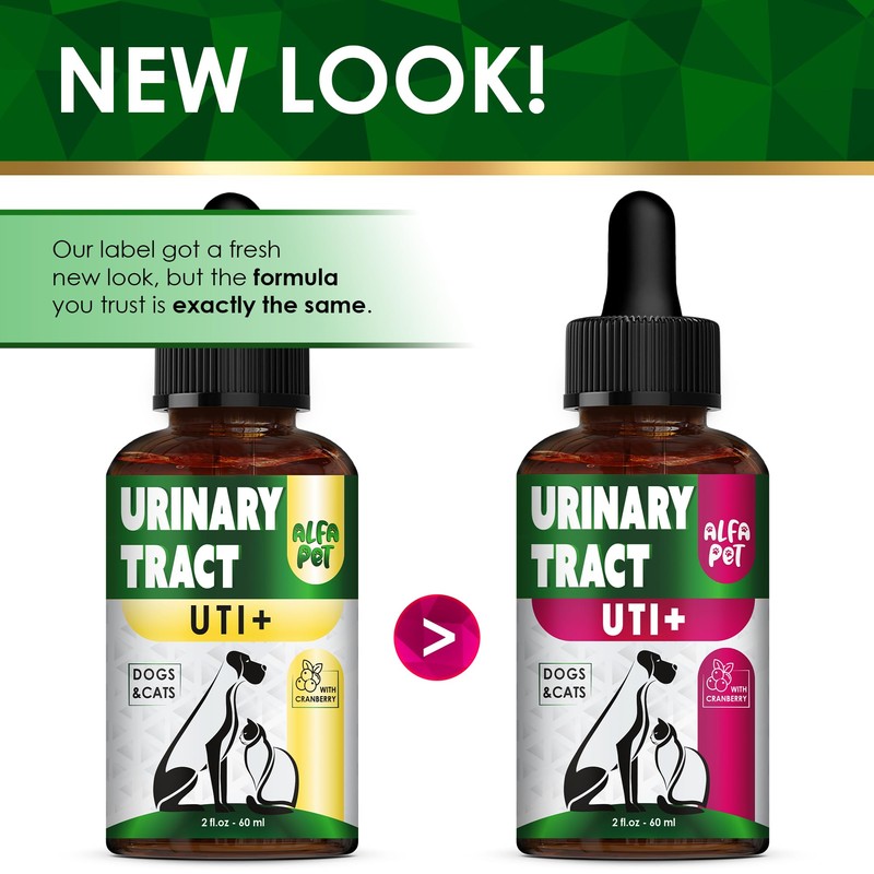 Сat Urinary Tract Infection Treatment with Cranberry – Dog UTI