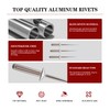 ASLLRISONY 190Pcs Pop Rivets,Aluminum Rivets,Aluminum Grip and Steel Mandrel (Silver,