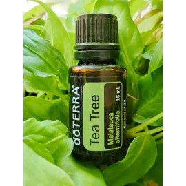 doTERRA Tea Tree Essential Oil 15 mL Brand New, Sealed, and Unexpired.