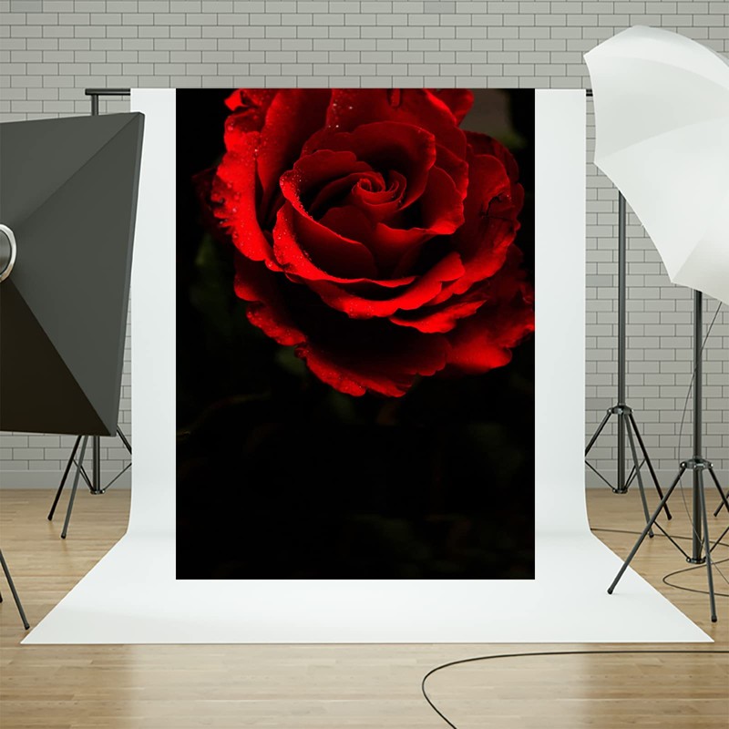 Generic Black Red Rose Texture Backdrop Red Flowers Abstract Portrait