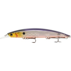 FTM Veitwitch Junior Length: 9.5 cm/11.5 g by Seika Pro/Fishing Tackle Max (Roach)