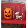 Crazy Bonez Digger The Skeleton Dog