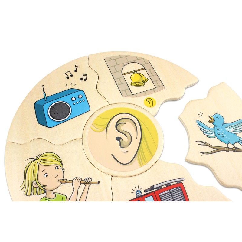 beleduc Humanico Puzzle 5 Senses - Educational Toy Children