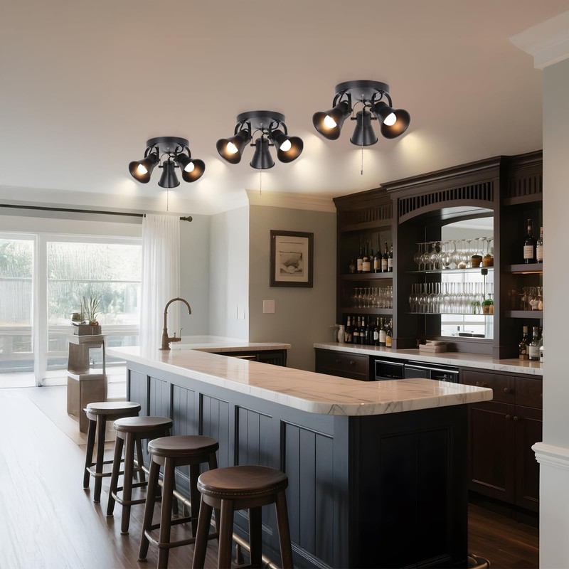 KEESFU Adjustable 3-Light Track Lighting with Pull Chain Switch, Modern