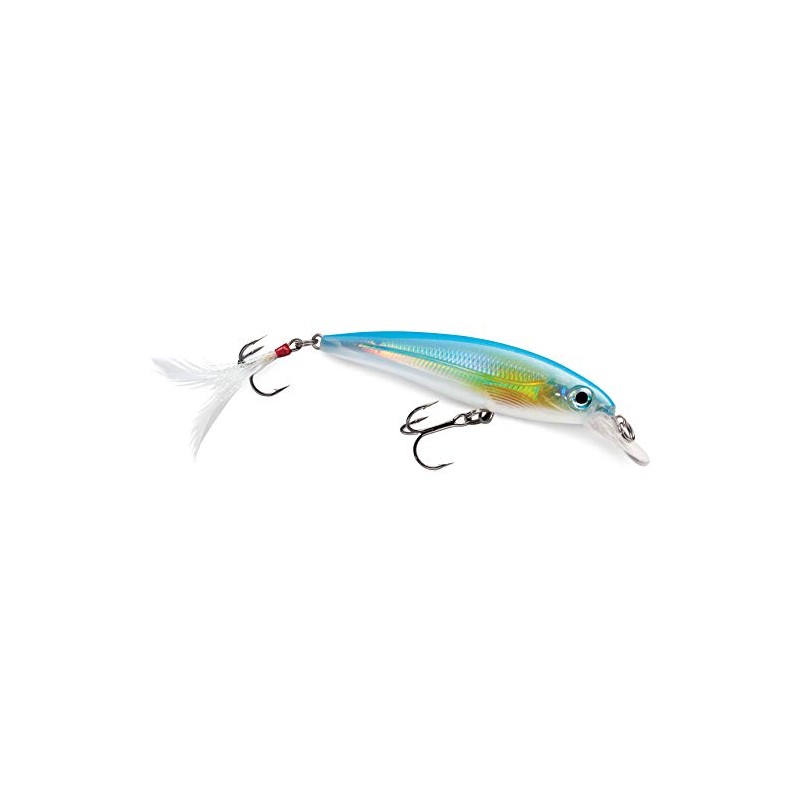 Rapala XR10 X-Rap Lure, Silck