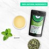 Udyan Tea Moroccan Mint Green Tea, 100g (40 Cups) |