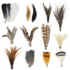 YZD Fly Tying Materials Starter Kit 12 Species Fly Tying