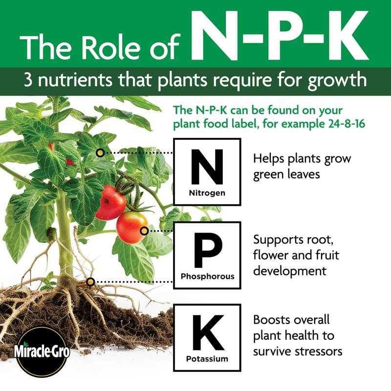 Miracle-Gro Liquafeed Bloom Booster Flower Food Refills, Pack of 2