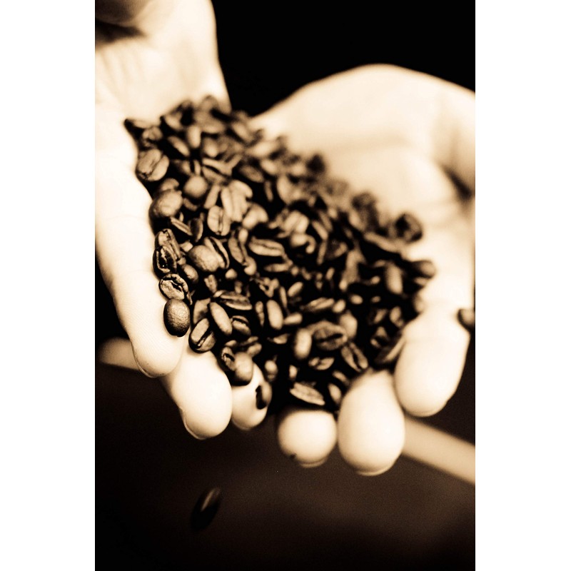 Caffe D'arte Firenze Whole Bean Espresso Coffee, 12 Ounces