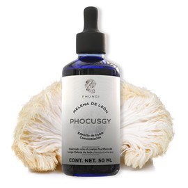 Phi Fungi  Phocusgy  Melena de León 2X Doble Concentración  Extracto Líquido 50 ML  Suplemento Natural para Claridad Mental y Enfoque  Apoyo...       