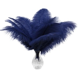 Piokio 20pcs Natural Navy Blue Ostrich Feathers 10-12 inch (25-30cm) Bulk Feathers for Home Decoration and DIY Clothing and DIY Clothes Decoration, Gatsby Decorations