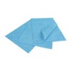 EcoTech EWF25B Envirowipe Compostable Folded Cloth, Blue (pack of 25)