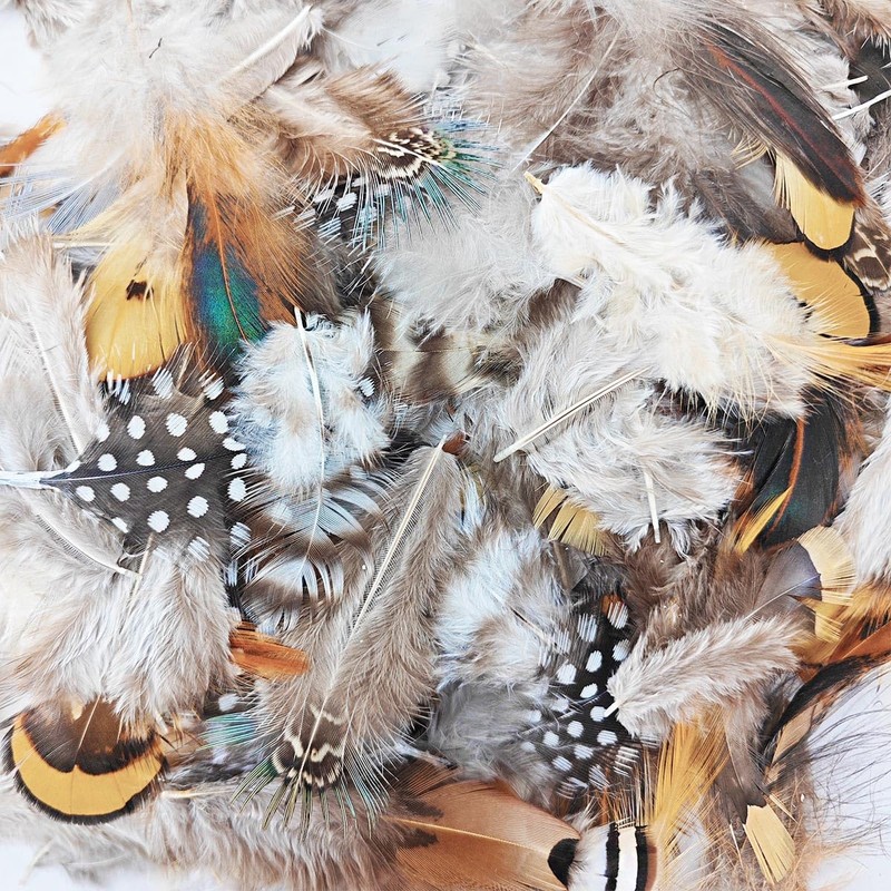 200pcs 10 Style Natural Feathers Assorted Mixed Feathers for Dream