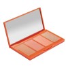 Addictive Blush Palette Rubor Larga Durarion Goc Makeup Tono Naranja