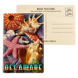 Delaware, Shell Montage (4x6 Birch Wood Postcards, 2-Pack Stationary, Rustic Home Wall Decor)