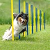 Pet Prime Dog Agility Training Equipment for Dog Obstacle Course