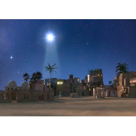 LYCGS 10X8ft Nativity Backdrop Birth of Jesus Sign Backdrop Christmas Photography Background Christmas Star Night Star of Bethlehem Over Desert Birth of Jesus Background X-310
