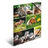 HERMA Portfolio Folder A4 Rodents, Children's Corner Folder Made of