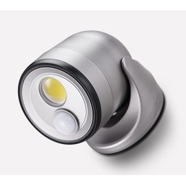 LIGHT IT! by Fulcrum, 33001-101 LED Floodlight, Silver, Single Pack