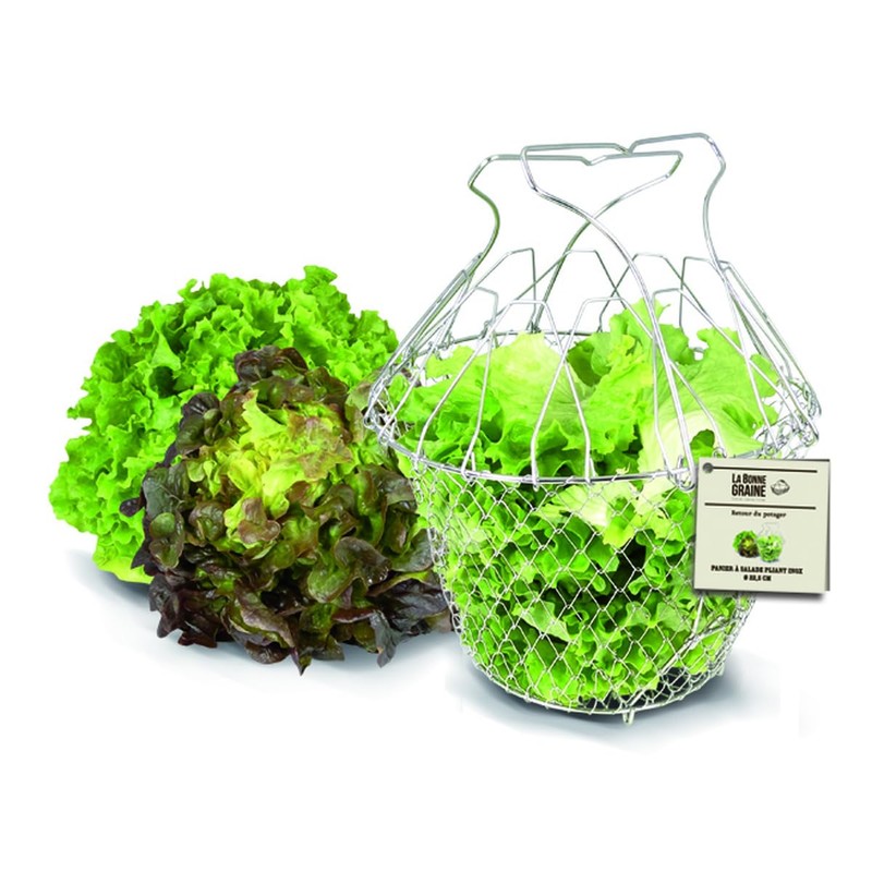 La Bonne Graine Salatkorb, faltbar, 1 Stück