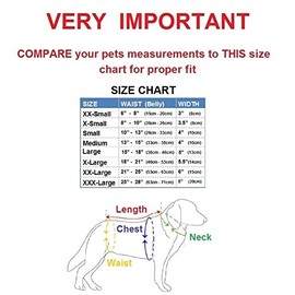 Dog Diaper for Male Belly Band Neoprene Reusable Washable for Small and Big Large Dogs Puppy (Gray Monkey, XXL: Waist 21" - 25")