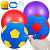 VercanMonth 4 Pcs 2 Set Goat Ball Toy with Ball