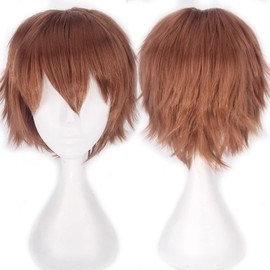 Kediciz Holiday Wig Anime Costume Cosplay Wigs Short Anti-alice Synthetic Party Hair for Women Men Boy Teens + Free Cap (12# Brown)