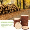 Natural Wood Slices Craft Unfinished Wood kit Predrilled with Hole