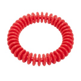 Sporti 6" Dive Ring - Red