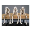 Venture Vehicles Ltd 3 Wise Skeletons | Gothic Decor |