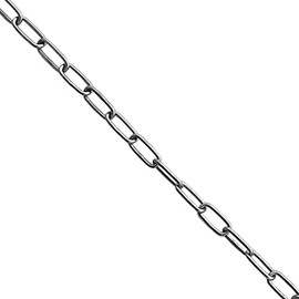 RANIT 3mm Dia-16.4ft Length Stainless Steel Chain, Heavy Duty Chain Link for Hanging Clothes, Swings, Artwork, Anti-Theft Chains, Pet Chains, Binding, Fixing etc