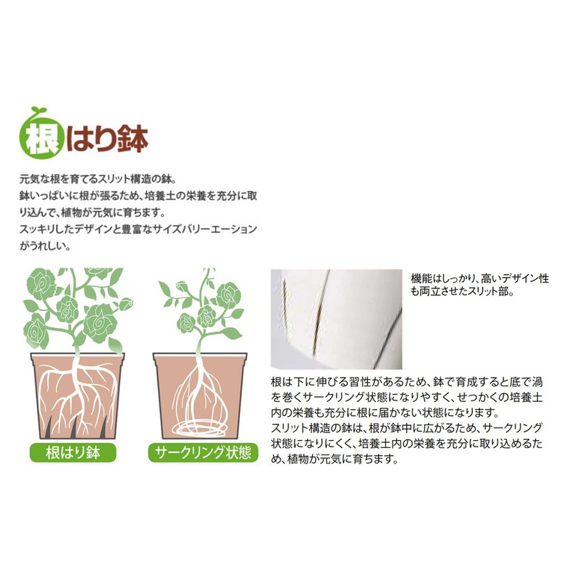 Yamato Plastic Root Beaning Pot, No. 7, 3L, White