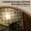 runquiz A19 Clear Led Bulbs, E26 Dimmable Edison Bulbs, 5000K