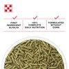 Purina® | Show Rabbit Feed | 50 pounds (50 lb)
