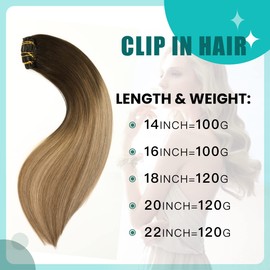 SURNEL Clip in Hair Extensions Balayage Ombre Color 2 Dark Brown Fading to 6 and 18 Ash Blonde Clip in Extensions Human Hair 20 inch Remy Clip in Hair Extensions 6pcs 120g(#2/6/18,20")