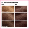 Revlon Colorsilk Beautiful Color, Medium Rich Brown, 3 Count