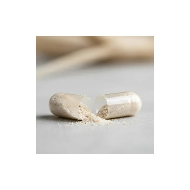 Capsulas Saltstick Plus Caps Sales Minerales Electrolitos Sabor Sal
