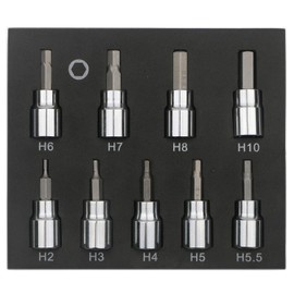 Rowiz 9 Pcs 3/8 Inch Drive Hex Bit Sockets Set, Hex Allen Socket Key Bits Set Kit H2 H3 H4 H5 H5.5 H6 H7 H8 H10