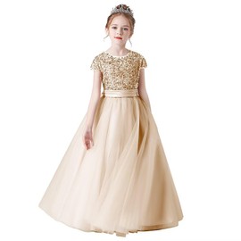 Flower Girls Dresses Champagne Formal Floor Length Princess Tulle Birthday Party Special Occasion Dress Juniors Kids Girl Champagne 6