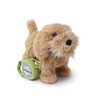 Meva Kids Walking and Barking Puppy Dog Toy Pet with