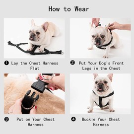 Ditar No Pull Dog Harness & Leash Combo Set - Adjustable Reflective Harness Collar with Soft Padded Handle for Large Medium Dogs, Anti-Pull Control, Easy Walk Training Gear