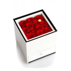 AMOROSA Preserved Flower Darzen Rose Dower (Premium) Red Rose Gift Flower Birthday Women Wedding Anniversary Proposal Her Dried Flower