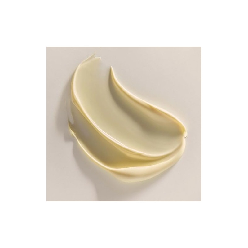 Annemarie Borlind System Absolute crema de día antienvejecimiento 1.69 oz,