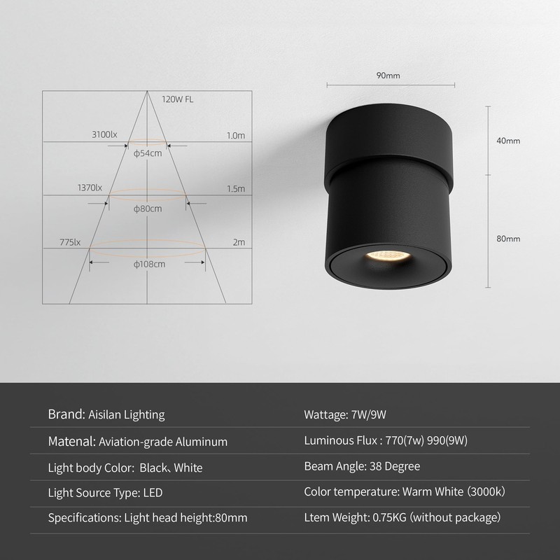 Aisilan LED Indoor Black Ceiling Spot Light 9W Surface Mounted