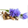 Instant Chicory from “Russian Chicory” - 100% Pure and Organic