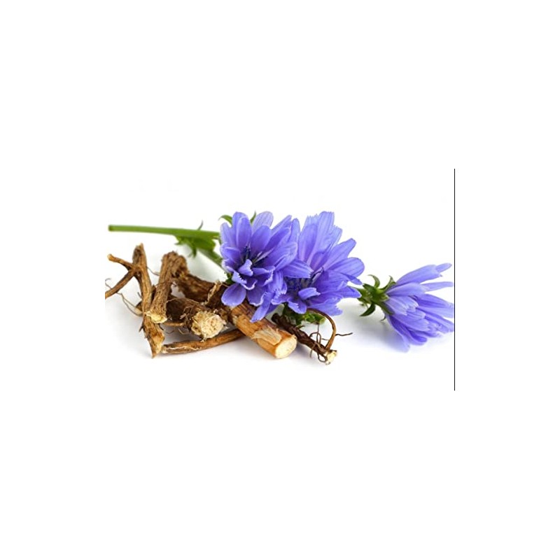 Instant Chicory from “Russian Chicory” - 100% Pure and Organic