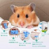 Small Animal Water Bottle, Set of 2 Colors, Leak Proof