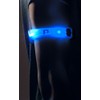 Ultimate Performance Flamborough LED Arm Band Light - Black/Blue, One