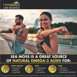 Himalaya Life Science Sea Moss Black Seed Oil Bladderwrack Burdock Capsules. Ashwagandha, Turmeric, Vitamin C, Vitamin D3 with Elderberry Manuka Dandelion Yellow Dock Iodine- 90 Count, All-in-1
