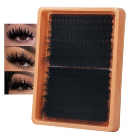 Fluffy Cluster Lashes 100D+200D Individual Eyelashes 256pcs Long 12-26mm Thick Lash Clusters D Curl Cat Eye Reusable DIY Lash Extension at Home（100+200）